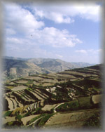 loess terraces near Xian