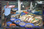 Fish market: Fort Cochin