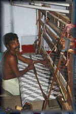 Cotton ikat: Putta Pakka